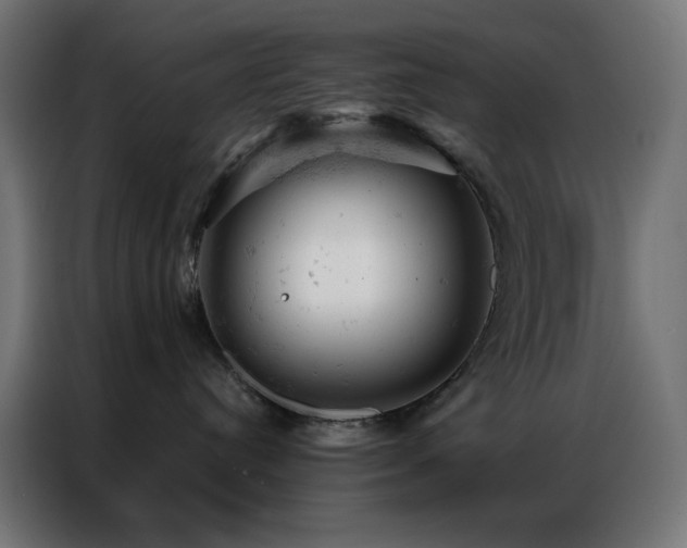 X0000087000384200704161528