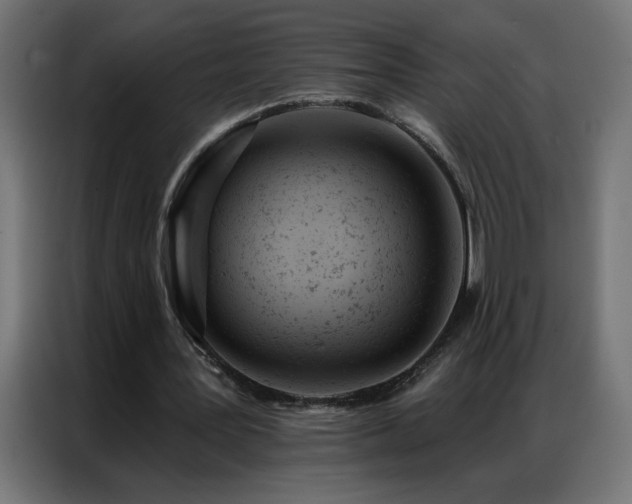 X0000087000387200704161528