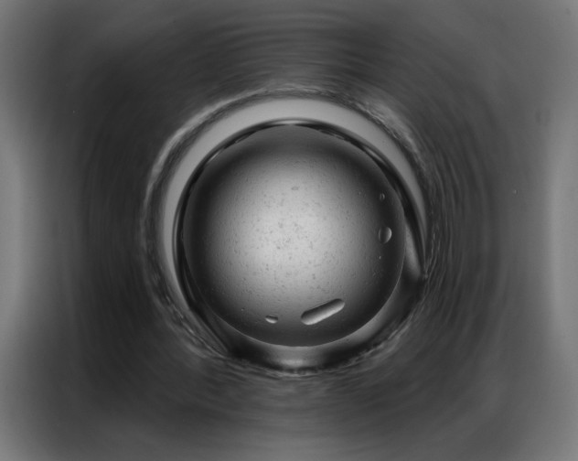 X0000087000388200704161528