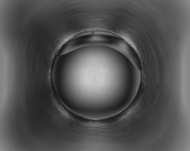 X0000087000389200704161528