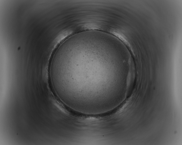 X0000087000390200704161528