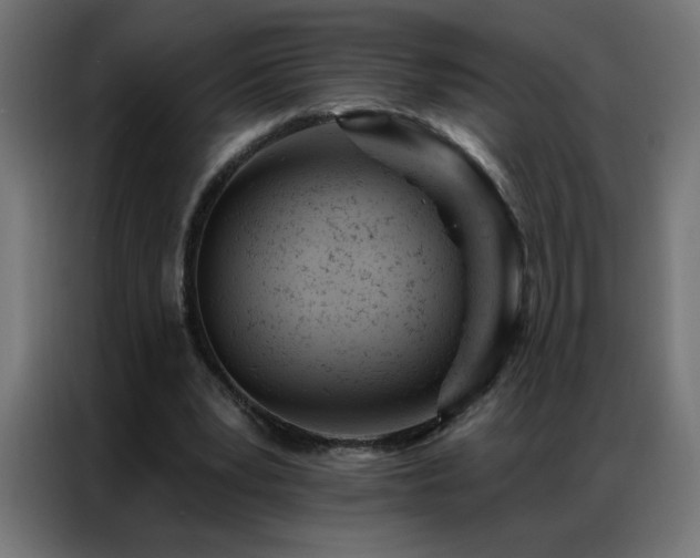 X0000087000391200704161528