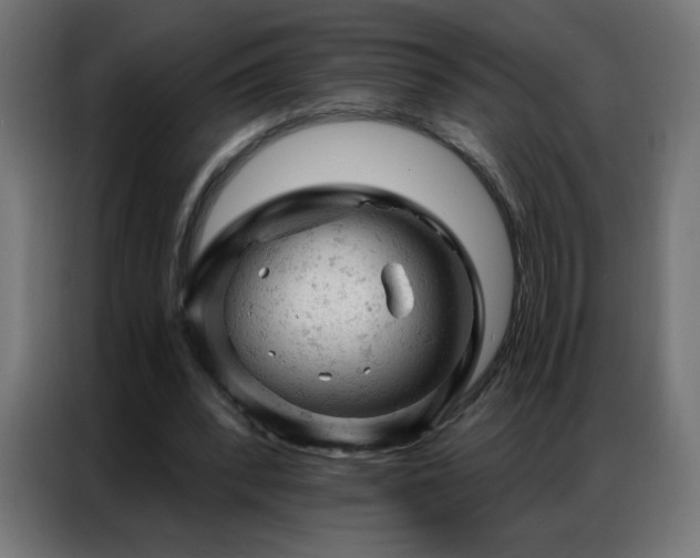 X0000087000392200704161528