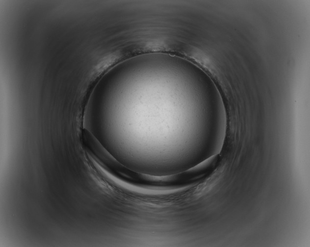 X0000087000393200704161527