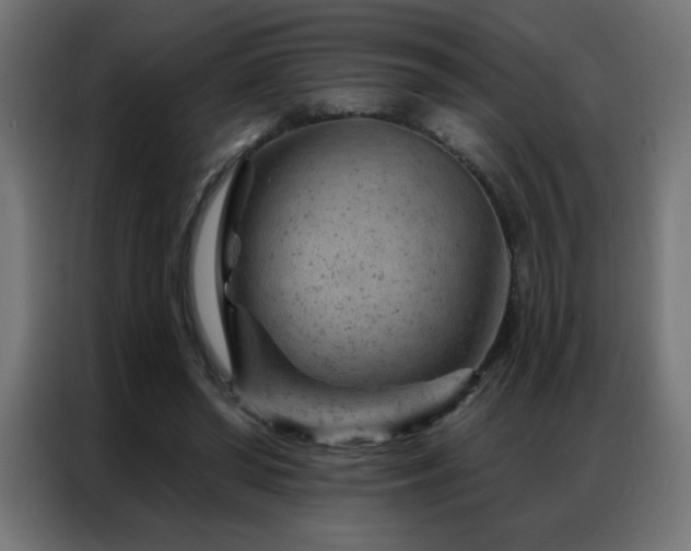 X0000087000398200704161527