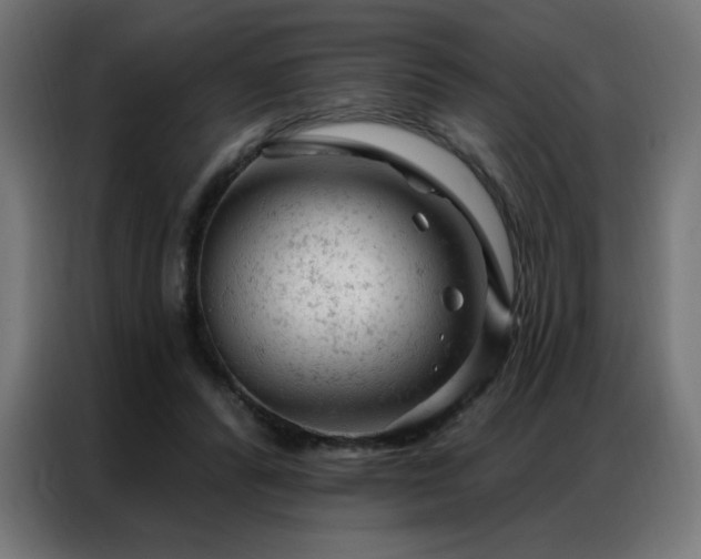 X0000087000400200704161527