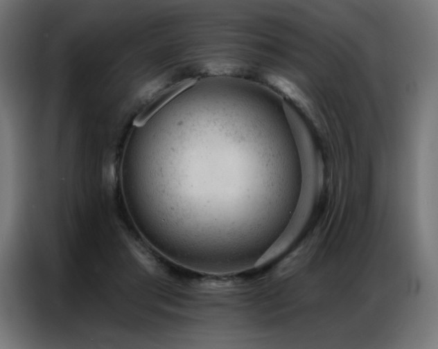 X0000087000405200704161527