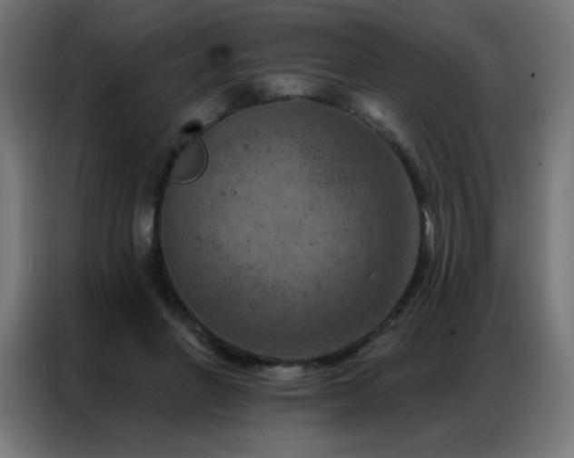 X0000087000406200704161527