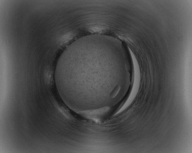X0000087000408200704161527