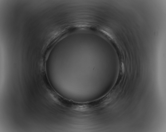 X0000087000411200704161527