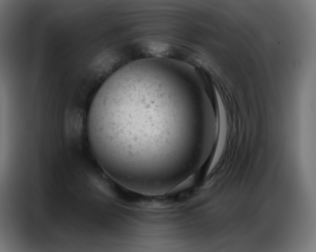 X0000087000412200704161527