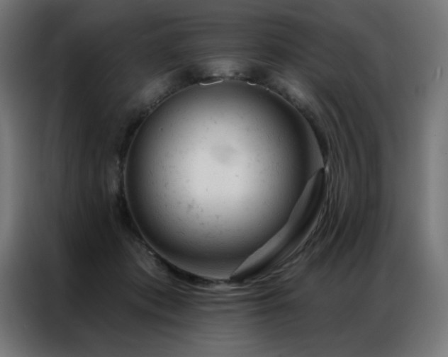X0000087000413200704161527