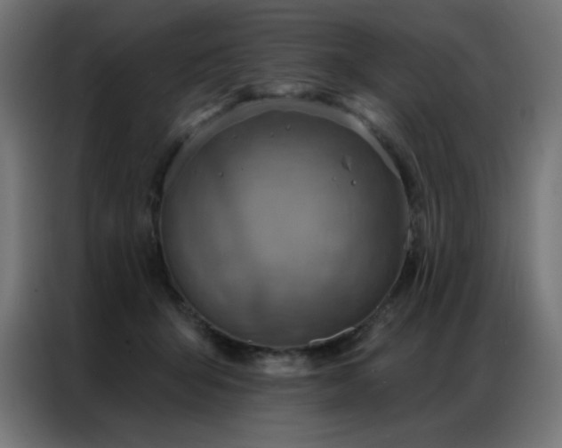 X0000087000415200704161527