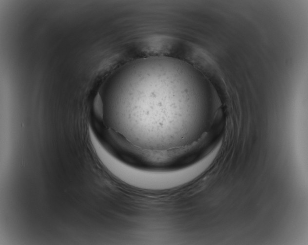 X0000087000416200704161527
