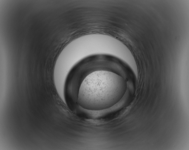 X0000087000417200704161527