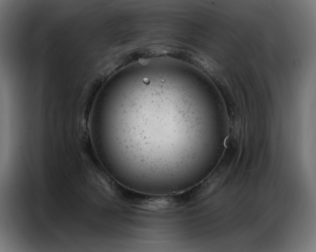 X0000087000418200704161527