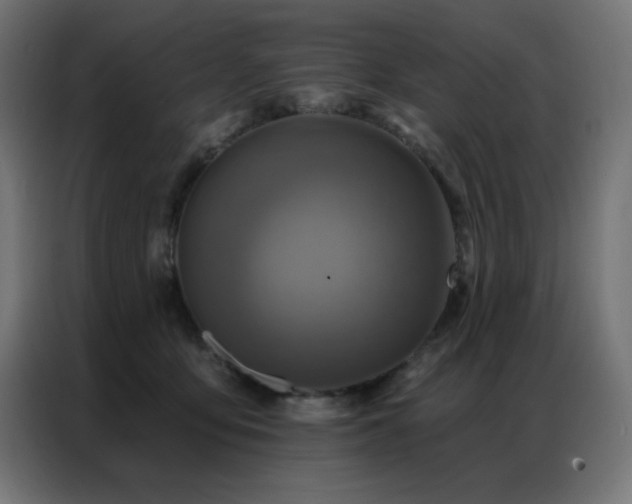 X0000087000419200704161527
