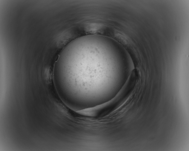 X0000087000420200704161527
