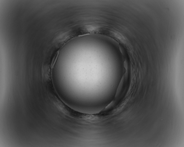 X0000087000421200704161527