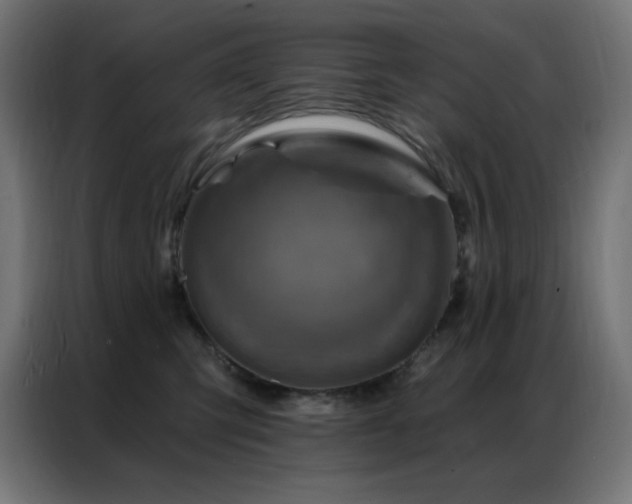 X0000087000423200704161527