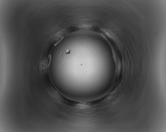 X0000087000425200704161527