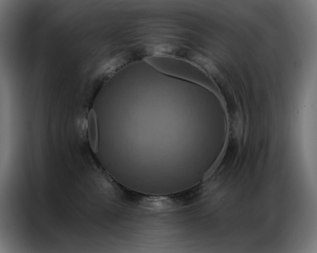 X0000087000427200704161527