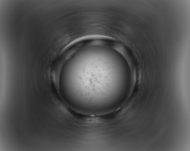 X0000087000428200704161527