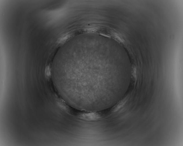 X0000087000431200704161527