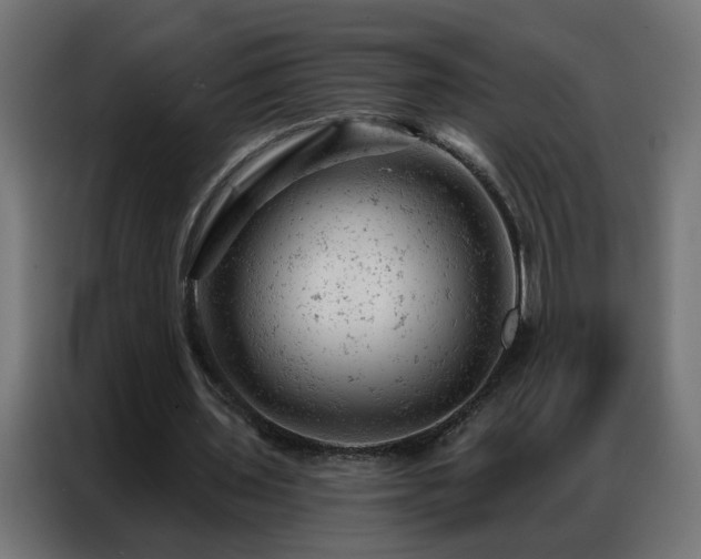 X0000087000435200704161527