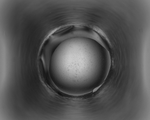 X0000087000436200704161527
