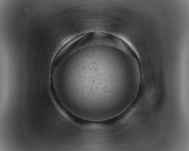 X0000087000437200704161527