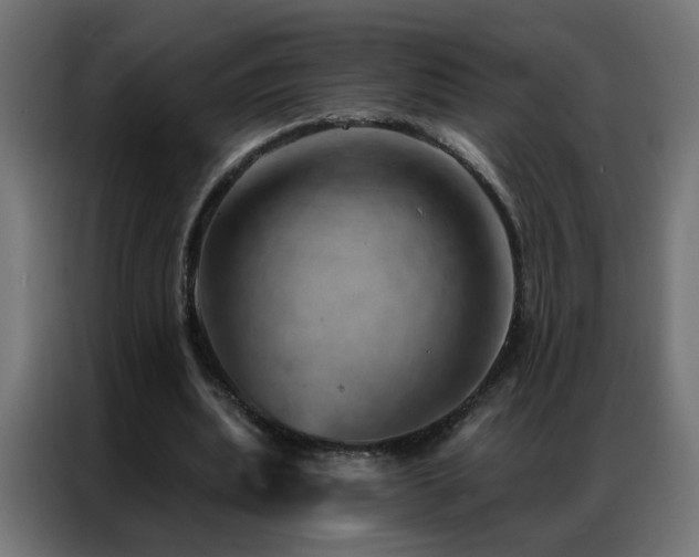 X0000087000439200704161527