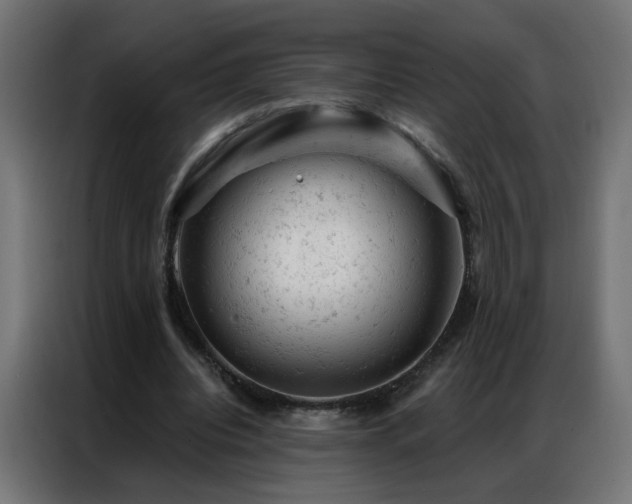 X0000087000440200704161527