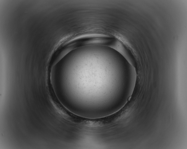 X0000087000442200704161527