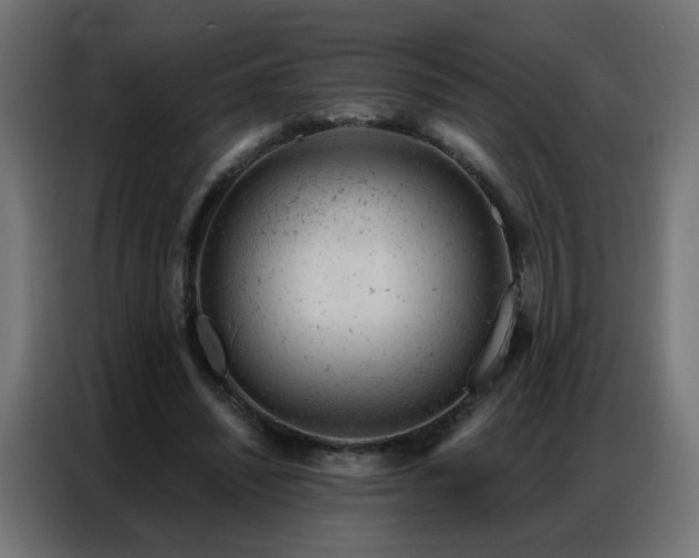 X0000087000444200704161527