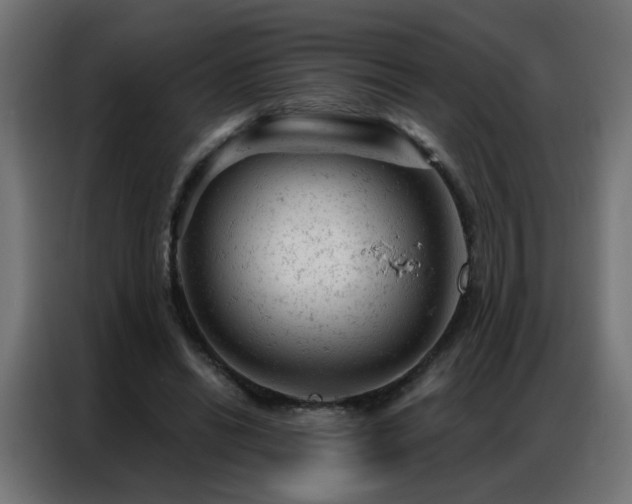 X0000087000446200704161527
