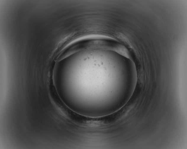 X0000087000448200704161527