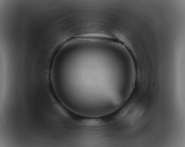 X0000087000449200704161527