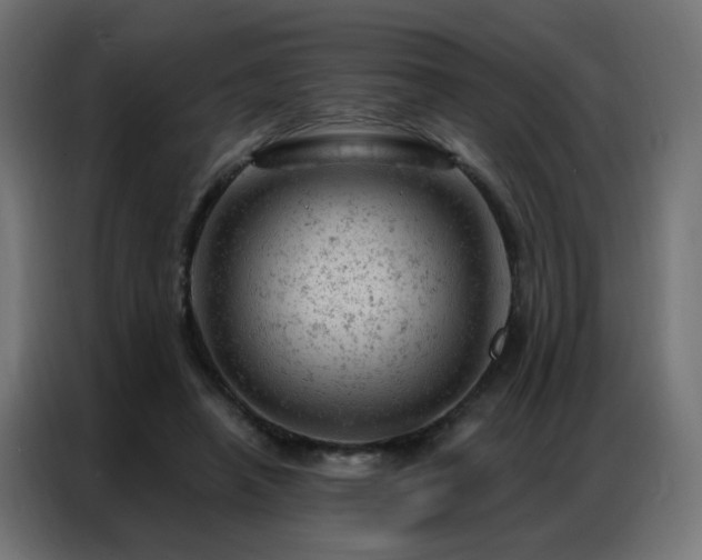 X0000087000450200704161527