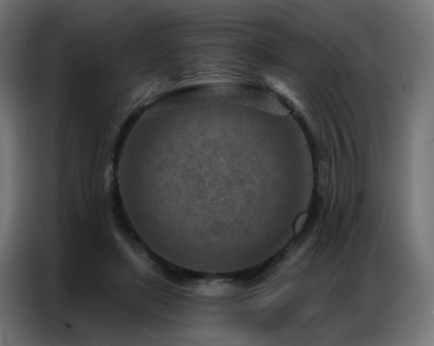 X0000087000451200704161527