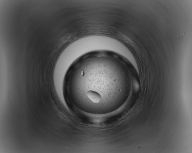 X0000087000452200704161527