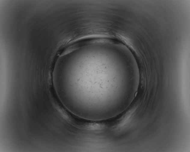 X0000087000453200704161527