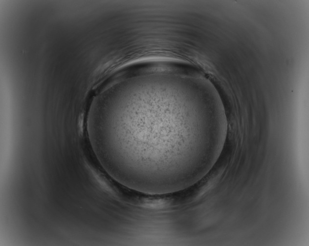 X0000087000454200704161527