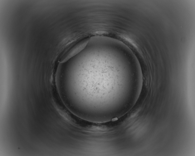 X0000087000455200704161527