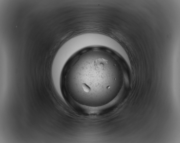 X0000087000456200704161527