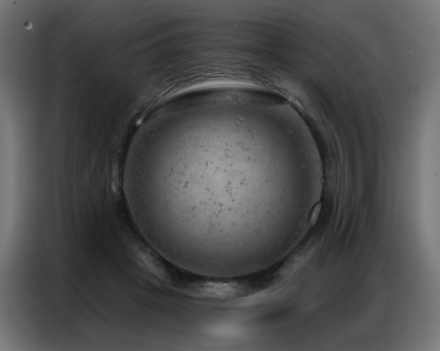 X0000087000457200704161527
