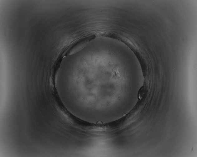 X0000087000458200704161527
