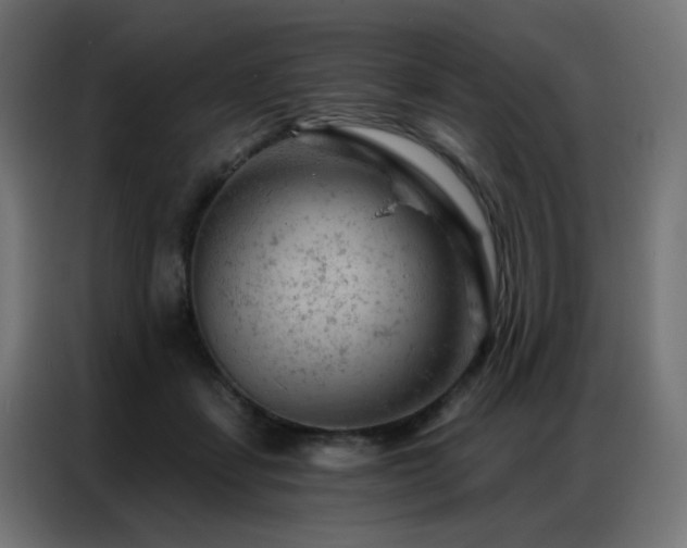X0000087000459200704161527
