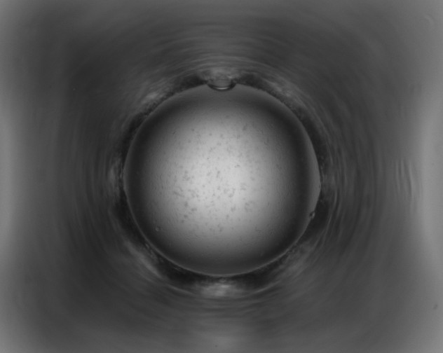 X0000087000460200704161527