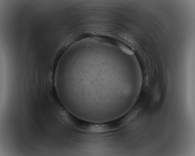 X0000087000461200704161527